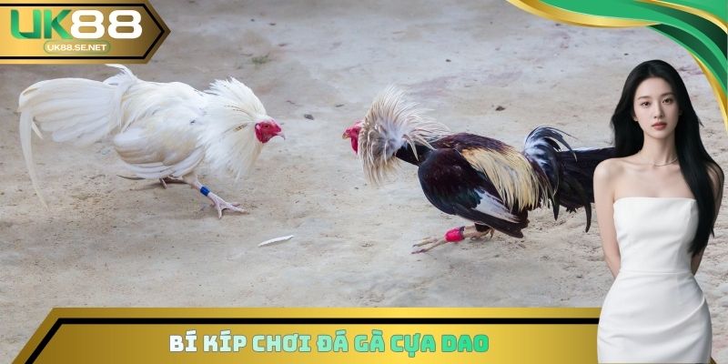 Bí kíp chơi Đá gà cựa dao