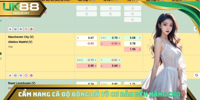 Cẩm Nang Cá Độ Bóng Đá Từ Cơ Bản Đến Nâng Cao Cho Người Mới