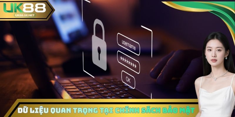 Dữ liệu quan trọng tại chính sách bảo mật