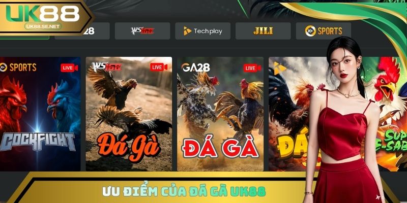 Tổng hợp điểm cộng của chuyên mục đá gà UK88