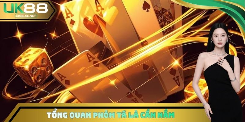 Tổng quan Phỏm Tá Lả cần nắm